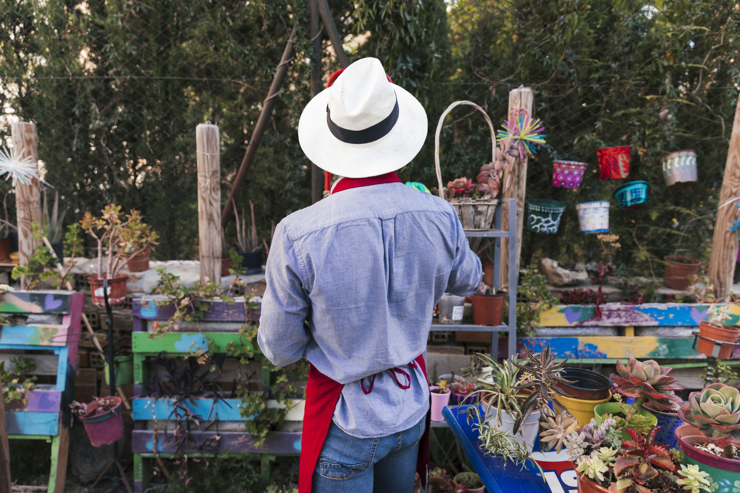 Mercadillos de Domingo: Santa Brígida, San Mateo y Teror
